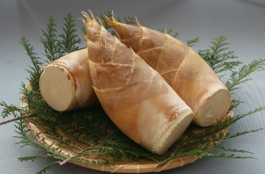 タケノコ 2kg [V-003] | JA鹿児島いずみショップ