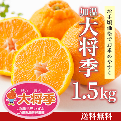 極早生温州みかん 10kg [F-020] | JA鹿児島いずみショップ