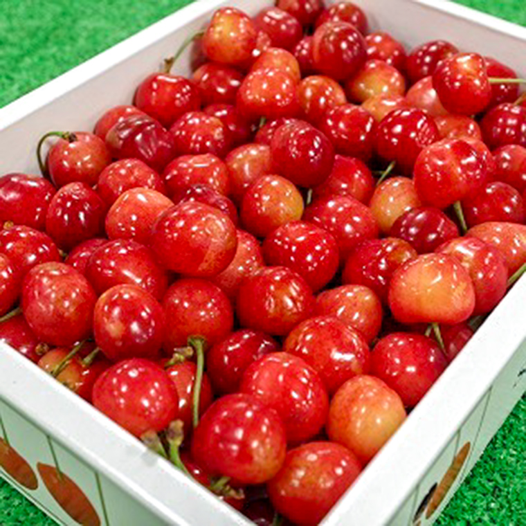 satounishiki_1000_1_1748167478