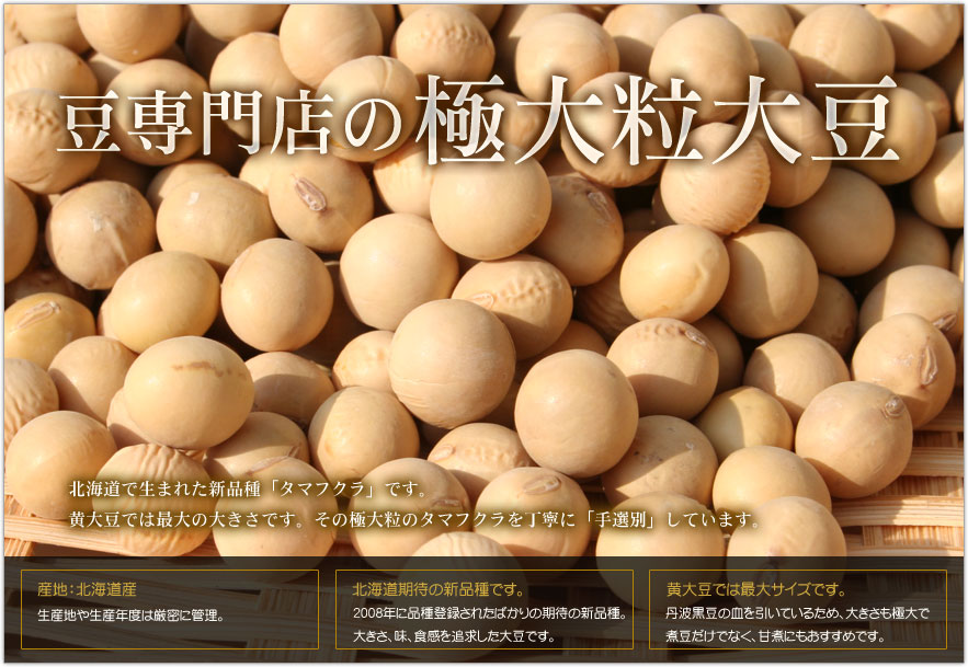 極大粒大豆 | Beans Market