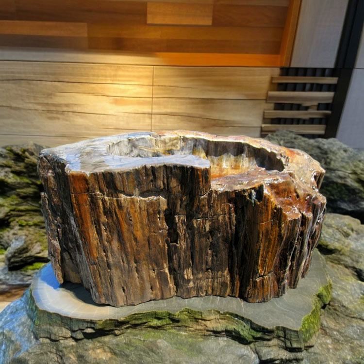 木化石 蹲 049 手水鉢 水鉢 銘石 珪化木 幅170cm 希少 庭石 景石 販売