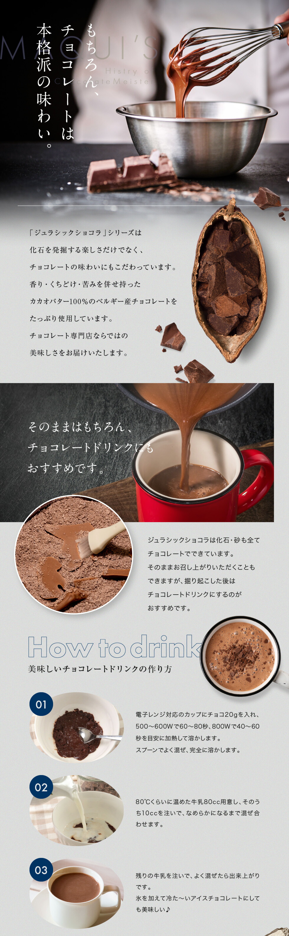 ジュラシックショコラ パズル 楽しむチョコ♪ 発掘 化石 ユニーク