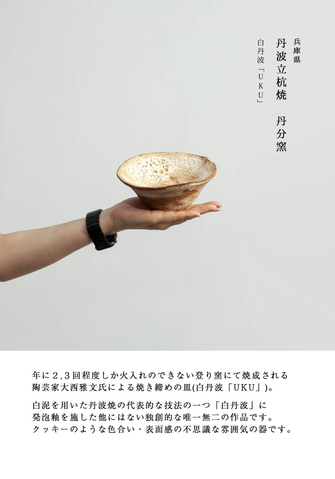 楽天市場】丹波焼 丹波立杭焼 丹文窯 大西雅文 焼き締め 白丹波UKU