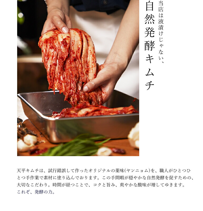 ヤンニョム 500g | キムチの素 - 天平キムチ 販売