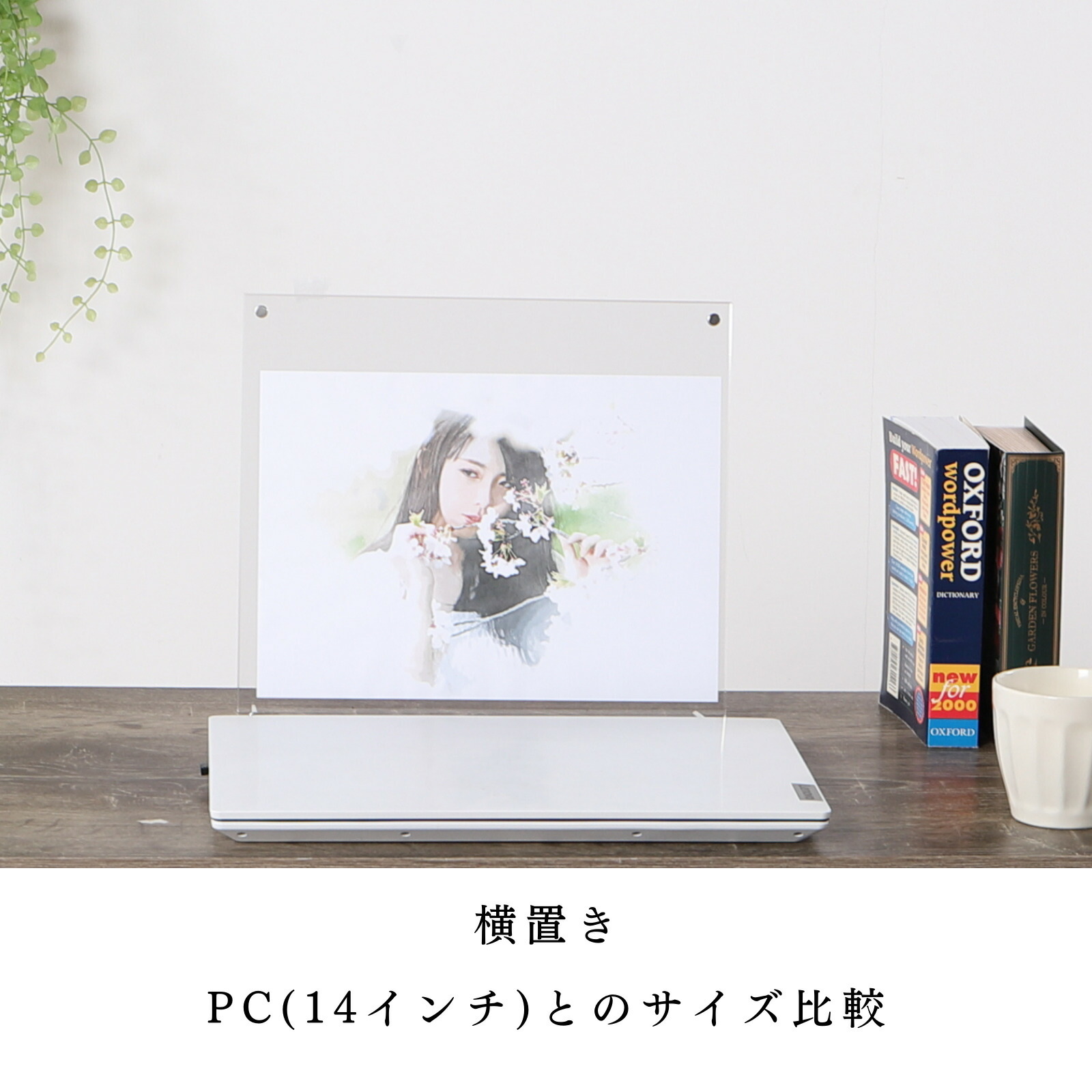 Free! DF アクリルフォトフレーム 2種 Free! DF アクリルフォト