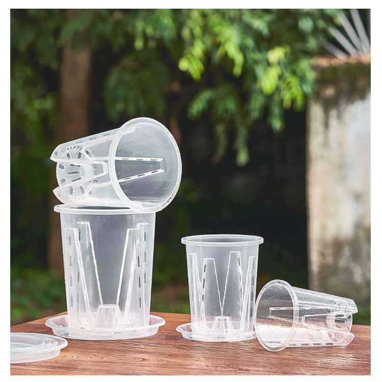 楽天市場】胡蝶蘭 植木鉢 5鉢セット 透明 植え替え 鉢 受皿付き 観葉