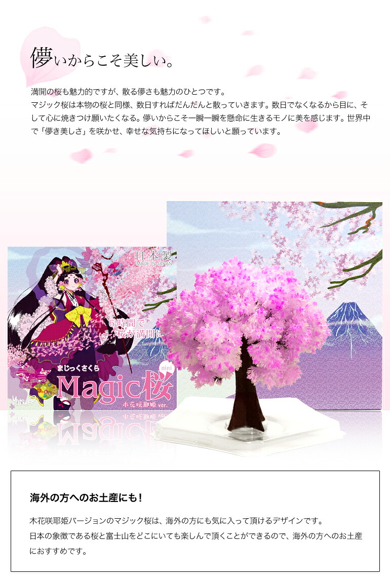 楽天市場】【メール便】 マジック桜 Magic桜ミニ 木花咲耶姫ver. 6時間