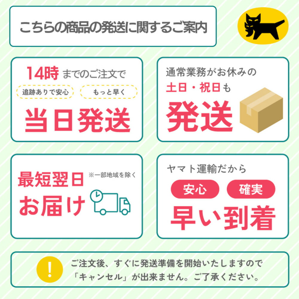 楽天市場】【70％OFF！3/4~3/11 楽天スーパーセール！】TOYO cantan