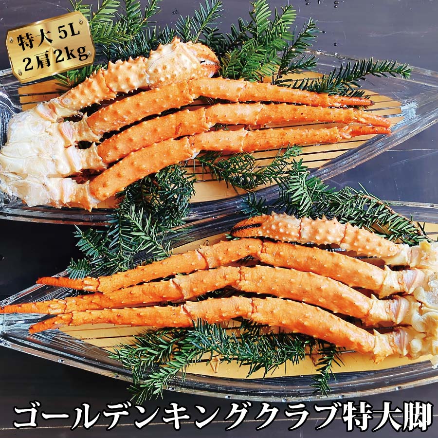 新春セール【グラキリス】塊根！レア！手のひら型、蟹型 新春セール