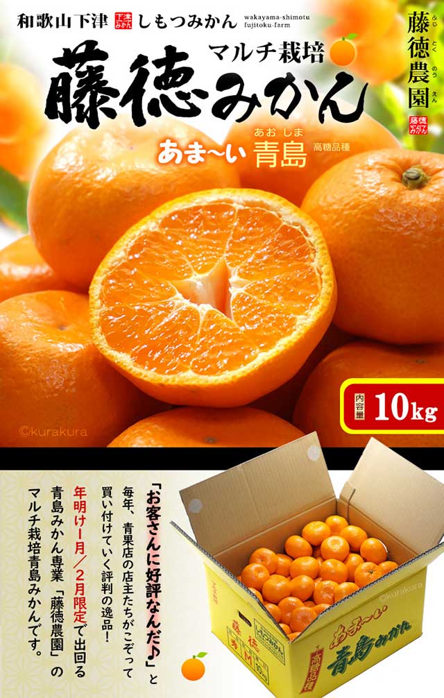楽天市場】青島みかん マルチ栽培 藤徳みかん S-L (約10kg) 和歌山県