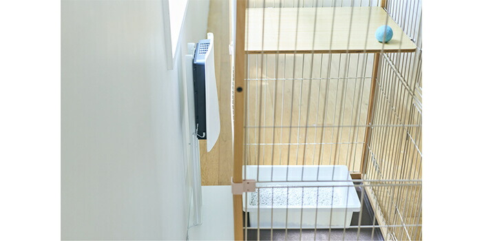 楽天市場】サンスター QAIS-air- 04A1J クワイスエアー 専用スタンド