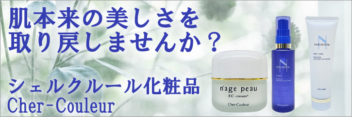 楽天市場】【あす楽】 日邦薬品 ACL アクル ノーマライジングクリーム