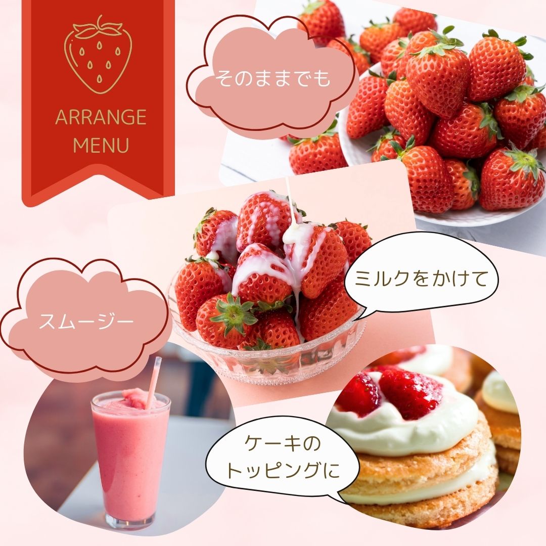 楽天市場】【ふるさと納税】【選べる容量・回数】佐賀県産いちご