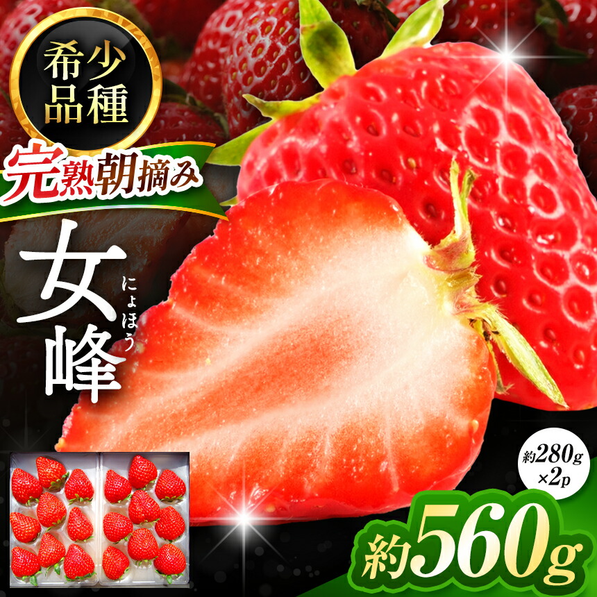 楽天市場】【ふるさと納税】【数量限定】完熟朝摘み 女峰 約560g＜2025