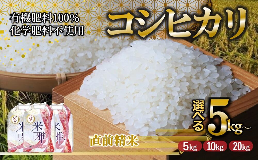 楽天市場】【ふるさと納税】【9月中旬～発送】コシヒカリ 白米 5kg