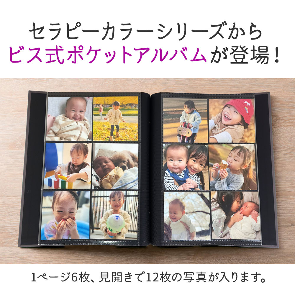 楽天市場】【WEB限定品】ナカバヤシ セラピーカラー ビス式 ポケット