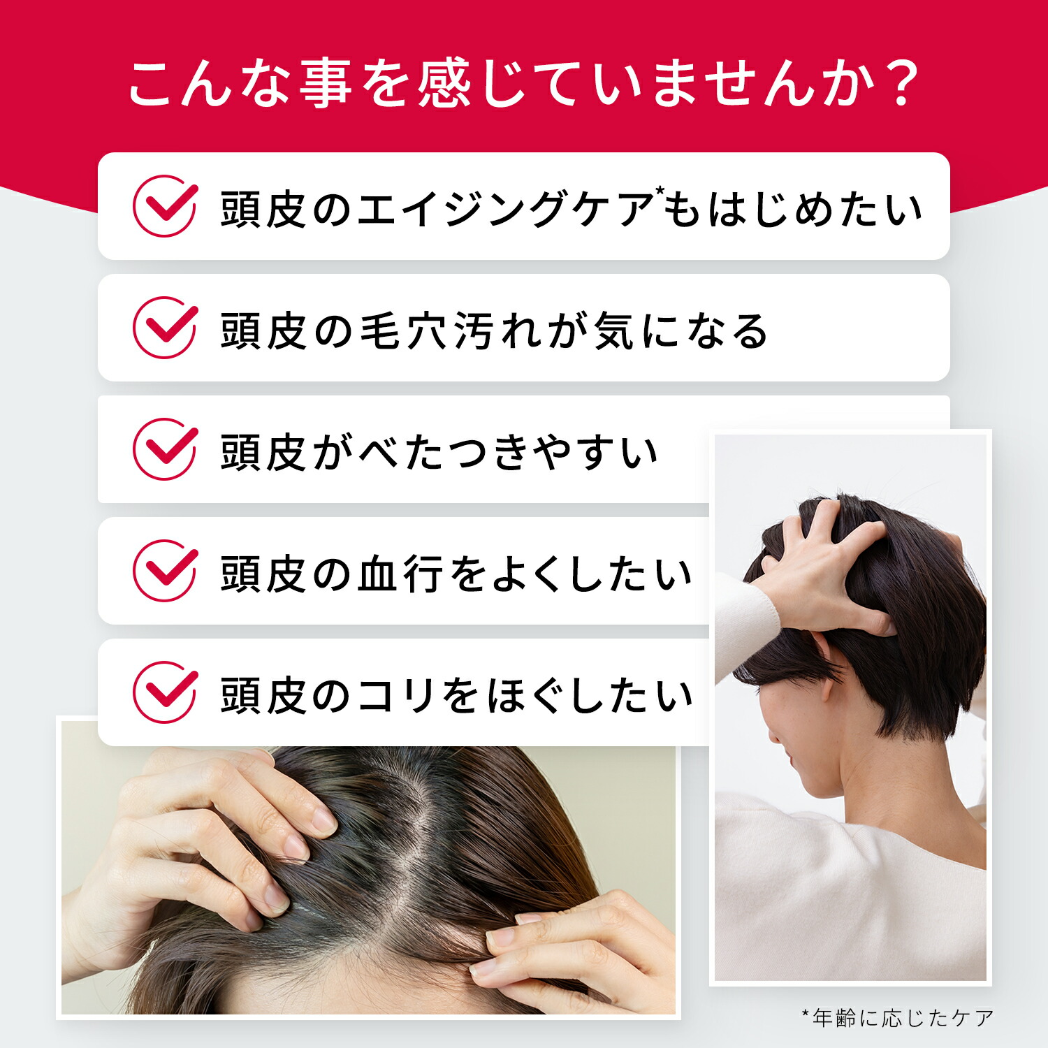 楽天市場】【新発売】アスタリフト スカルプフォーカス ブラシ