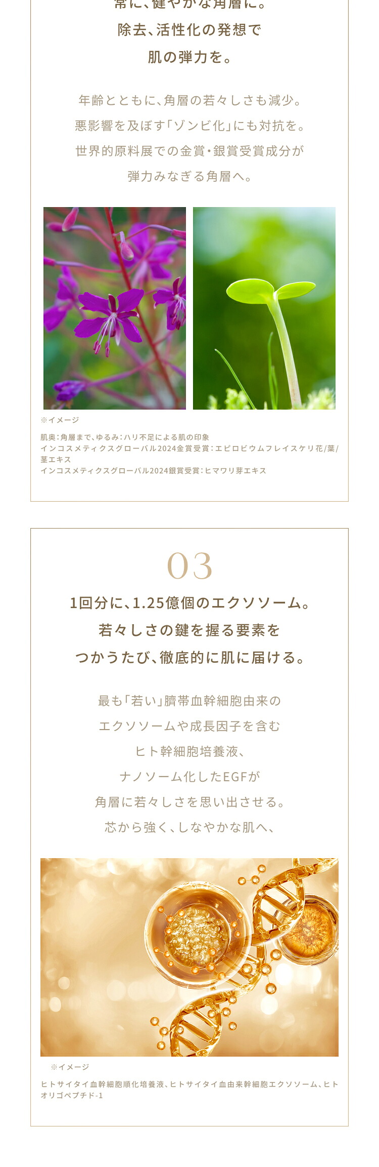 楽天市場】リニューアレイジ アンロックセラム 引き締め 美容液 ハリ