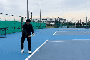 楽天市場】☆楽天1位☆【フィールドフォース 公式】テニス インパクト