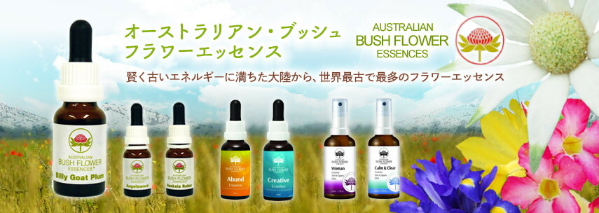 楽天市場】メディテーション（瞑想）《オーストラリアンブッシュ