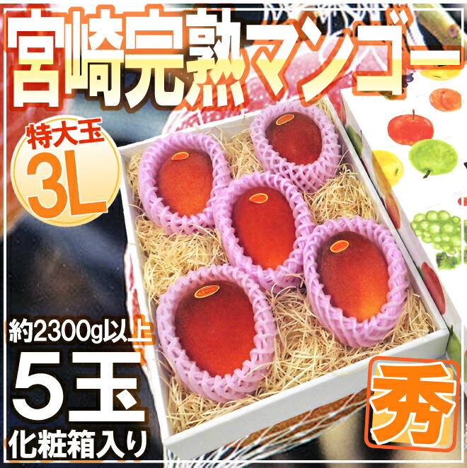 宮崎完熟マンゴー” 秀品 3Lサイズ 5玉入り 化粧箱 宮崎マンゴー【予約