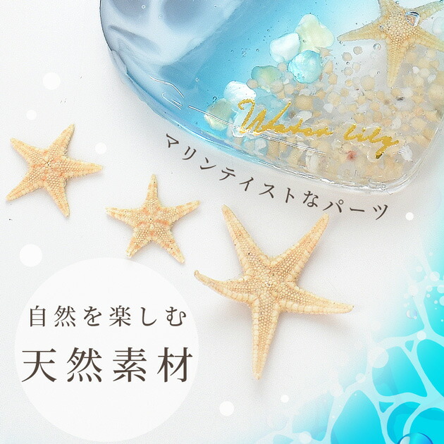 楽天市場】天然 リアル ヒトデ 10枚入 □ レジン アクセサリー 封入