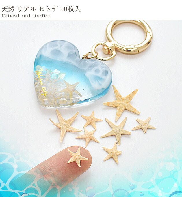 楽天市場】天然 リアル ヒトデ 10枚入 □ レジン アクセサリー 封入