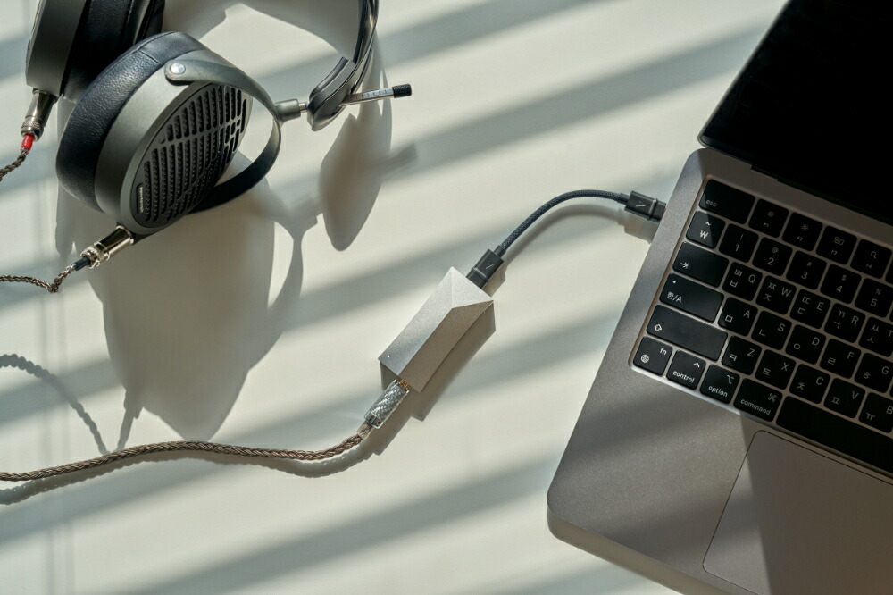 Astell&Kern AK HC4 [IRV-AK-HC4] 【延長保証 (+1年) 付き