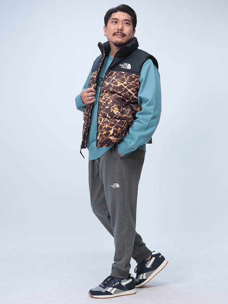 楽天市場】ノースフェイス ダウンベスト メンズ 大きいサイズ フード