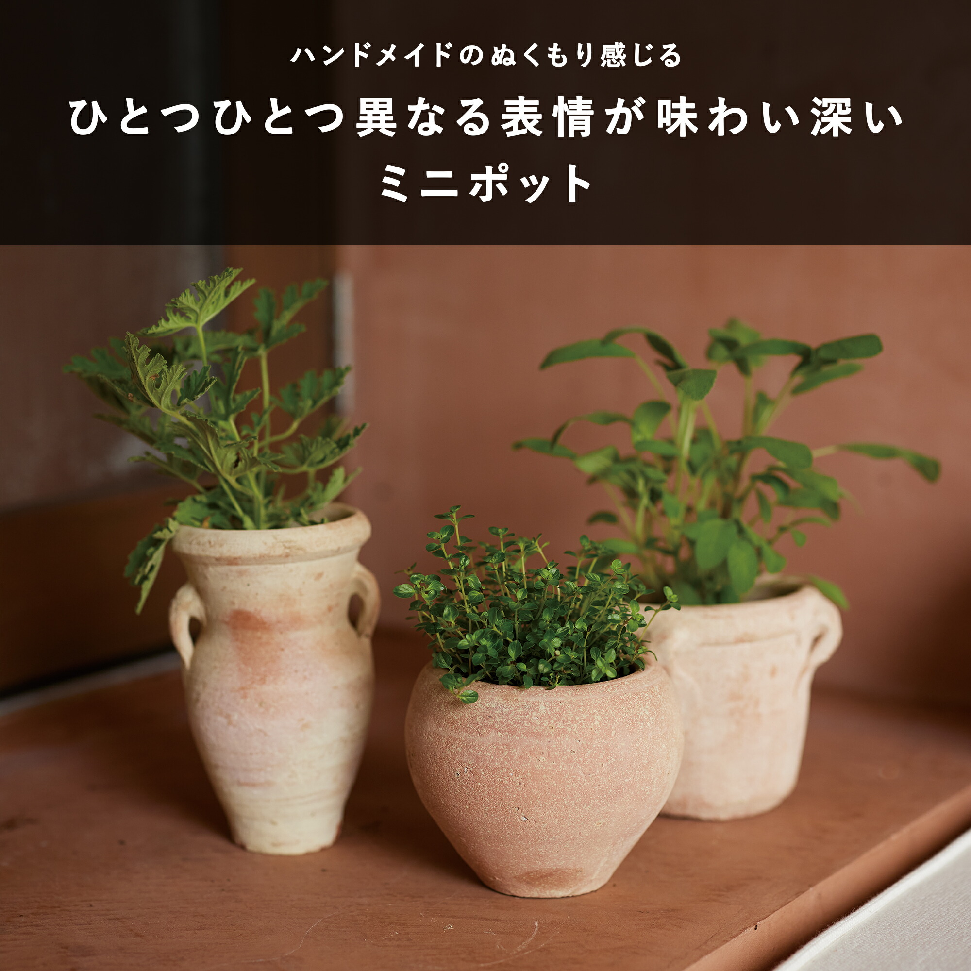 楽天市場】【FARM】チュニジアン ミニ【植木鉢 おしゃれ ガーデン雑貨