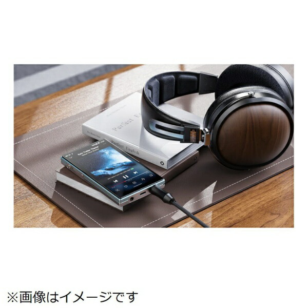 楽天ビック｜FIIO｜フィーオ ハイレゾポータブルプレーヤー Blue FIO