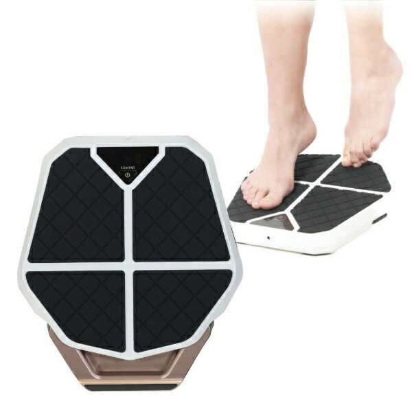 楽天ビック｜クルールラボ｜Couleur Labo スリムパッド レグネス