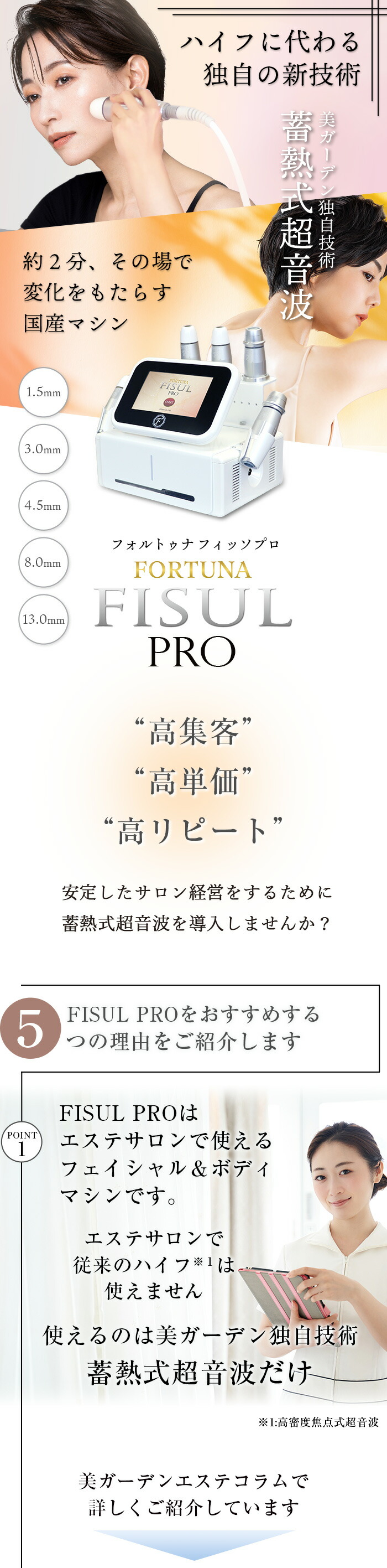楽天市場】FORTUNA FISUL PRO フォルトゥナフィッソプロ 蓄熱式超音波