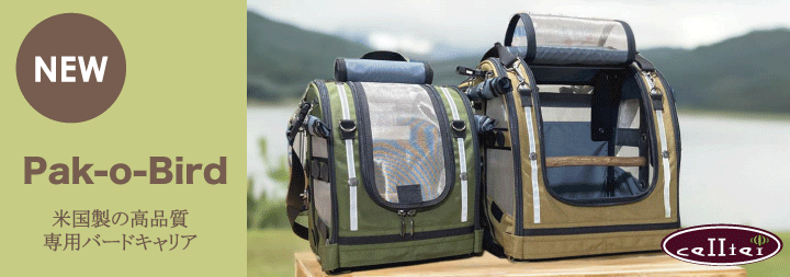楽天市場】Pak-o-Bird／Mediumサイズ（ヨウム用）【Celltei】 : 鳥