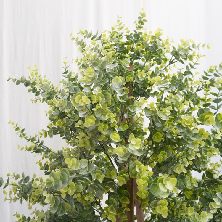 楽天市場】ユーカリの木 180cm (造花 シネレア 銀丸葉 インテリア