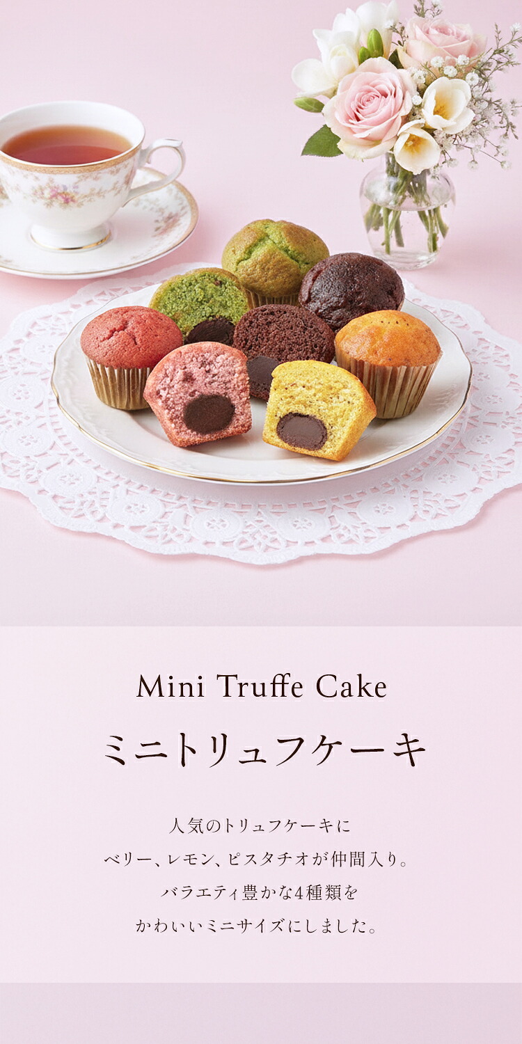 送料無料（沖縄県除く）】ミニトリュフケーキ 30個入り(MTF-D) | ミニ