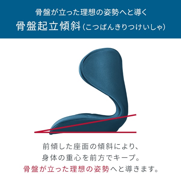 楽天市場】姿勢ケアシート スタイル スマート MTG Style SMART 骨盤