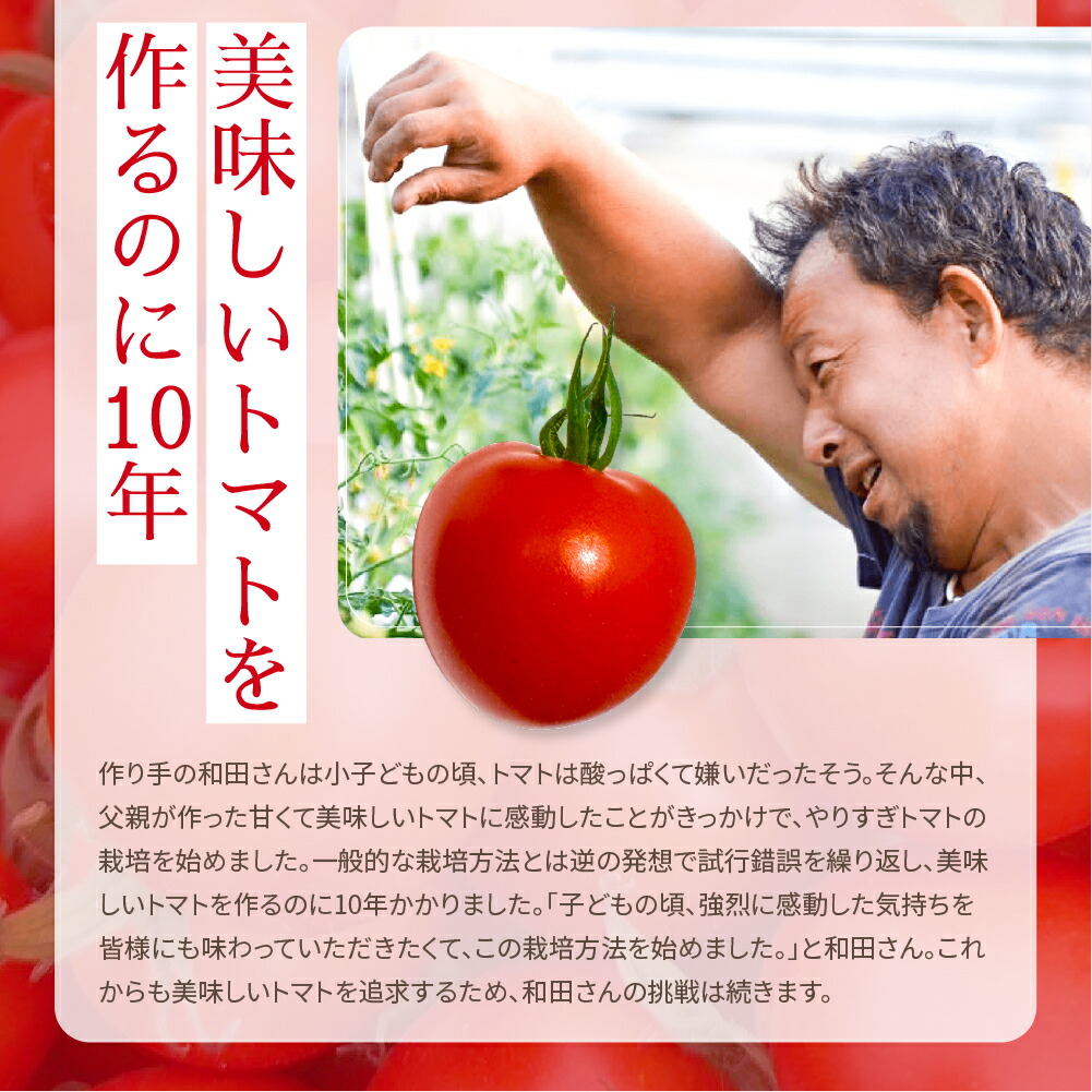 楽天市場】【やりすぎトマト】 和田農園 1箱3kg 送料無料 産地直送 直