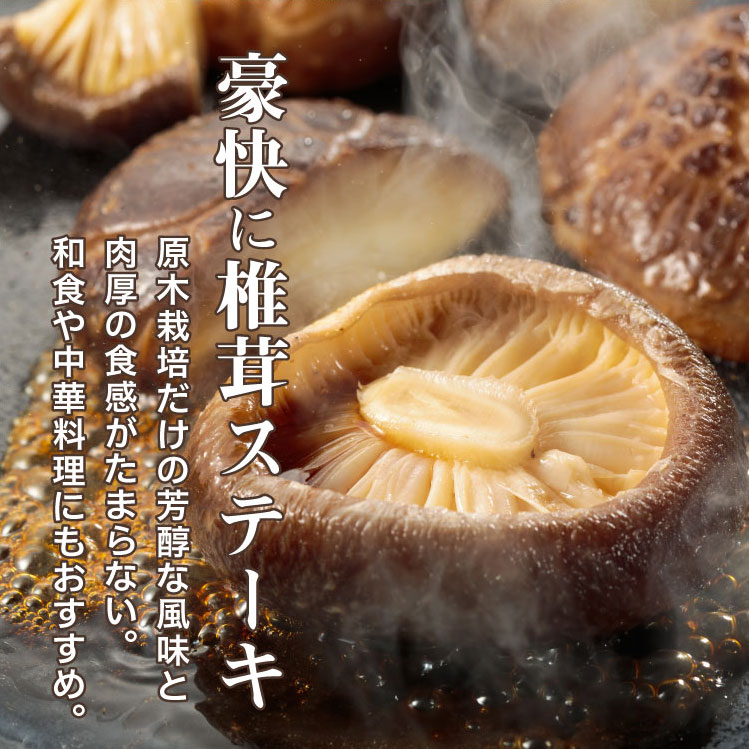 九州産 大玉どんこ椎茸90g 木箱入【送料無料】