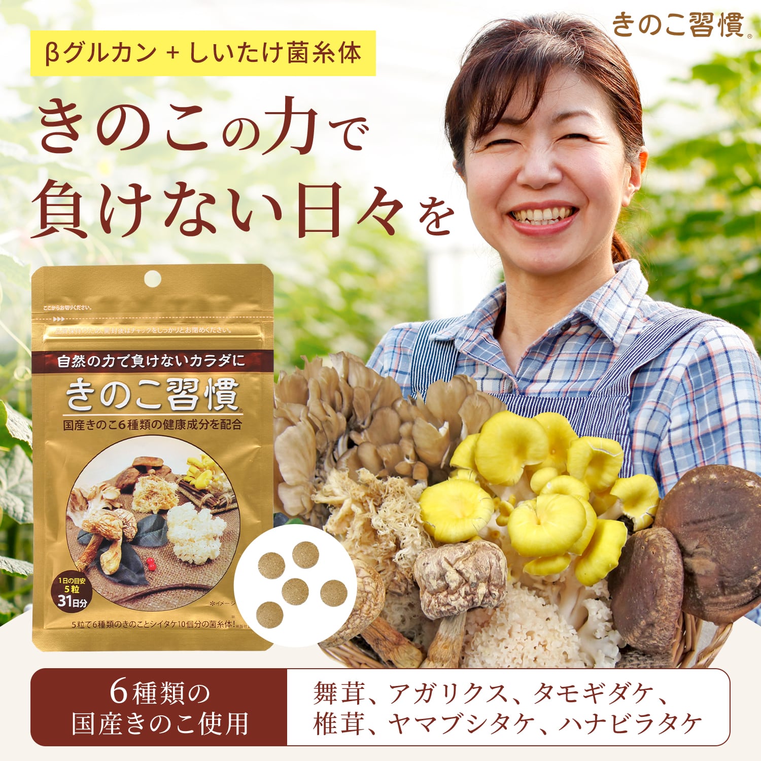 楽天市場】【テレビで紹介！】タモギダケ しいたけ菌糸体 アガリクス