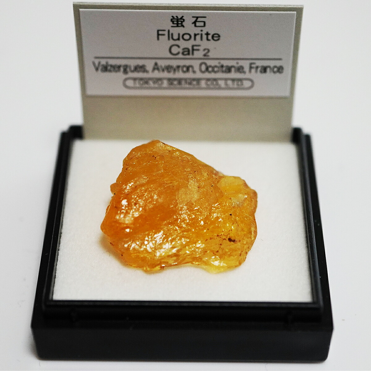 楽天市場】金鉱石 （鹿児島県伊佐市） 鉱物 標本 東京サイエンス ミニ