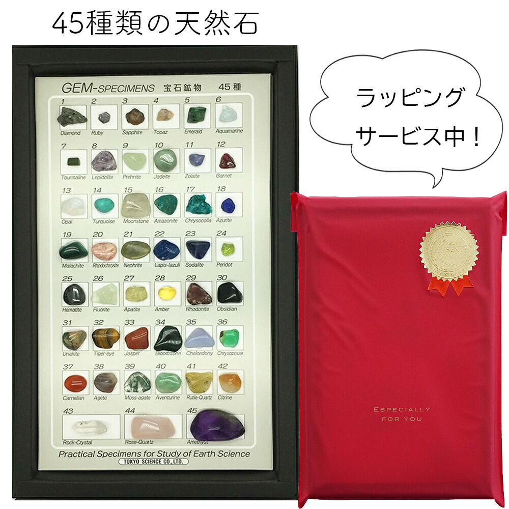 楽天市場】【正規品】 岩石・鉱物標本100種 : キッズマーケット