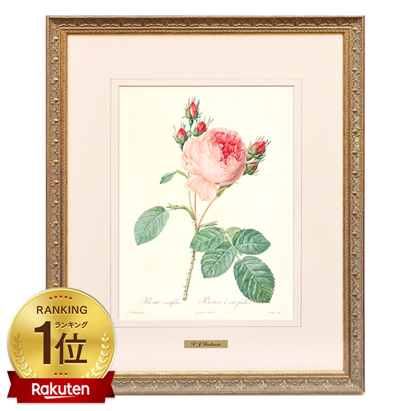 楽天市場】【スーパーセール価格】 絵画 インテリア ルドゥーテ ローズ