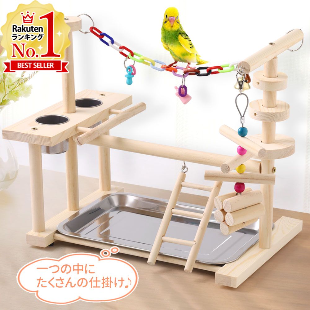 楽天市場】【半額&5%OFFクーポン配布3/1 利用条件あり】 インコ オウム