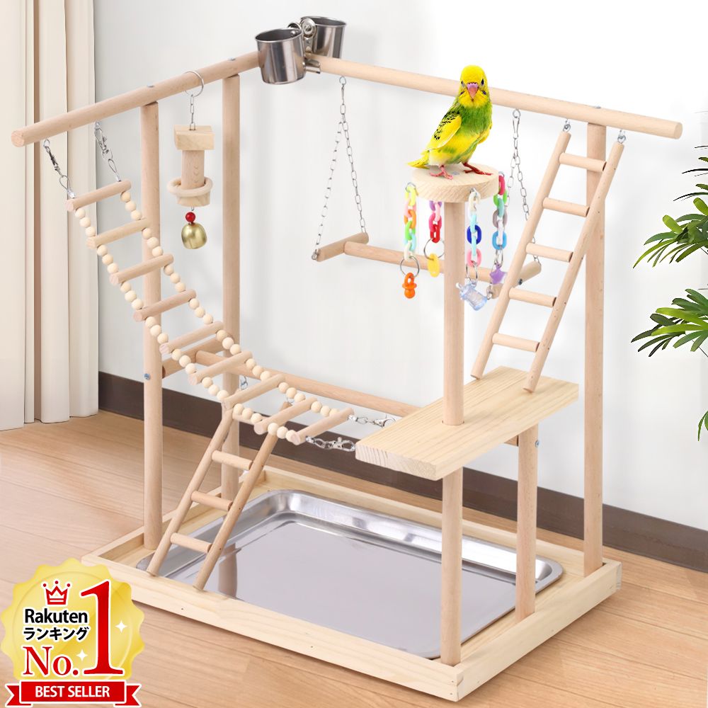 楽天市場】【半額&5%OFFクーポン配布3/1 利用条件あり】 インコ