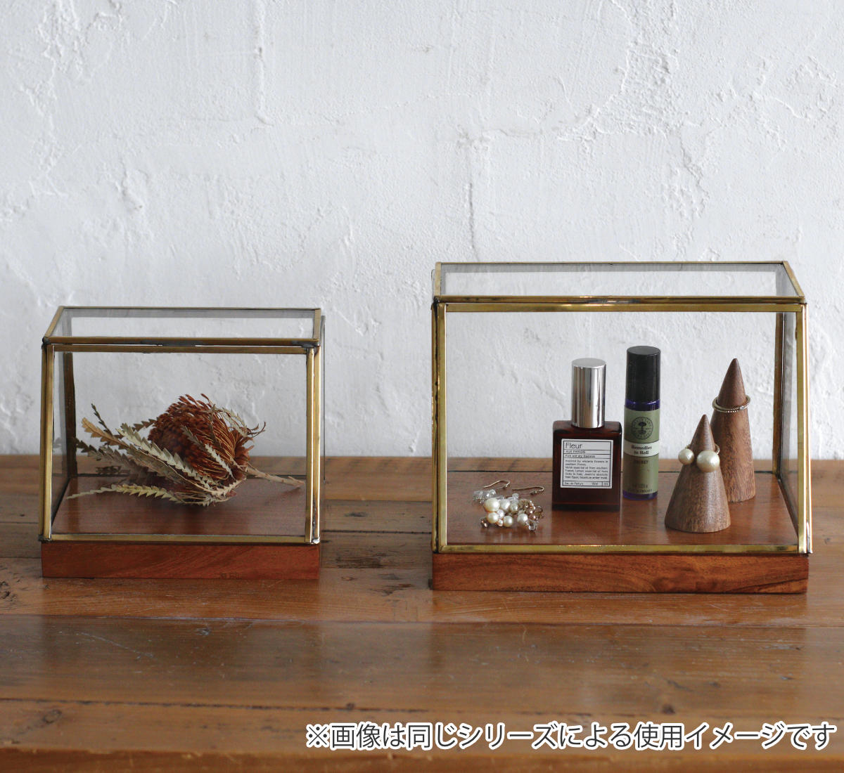 楽天市場】ショーケース アルテン ブラスショーケース L 天然木