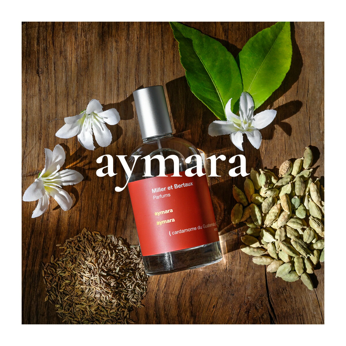 楽天市場】Miller et Bertaux 【オードパルファンお試しサイズ2ml