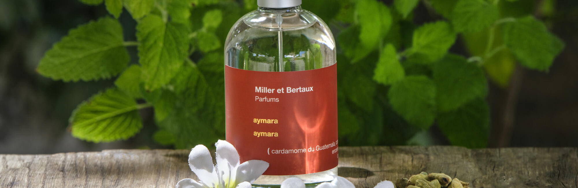 楽天市場】Miller et Bertaux 【オードパルファン香水100ml】 a quiet
