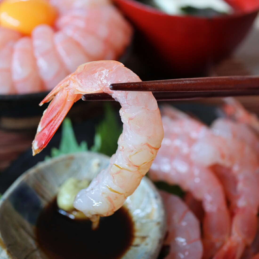 楽天市場】送料無料 創業150年 産地直送 超プリプリ タカエビ 約600g