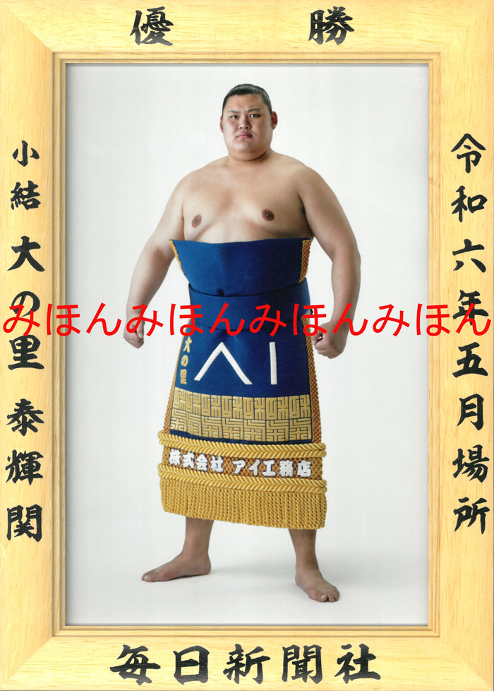 楽天市場】若乃花幹士関 優勝ミニ額 大相撲ミニ額 大相撲優勝額 昭和